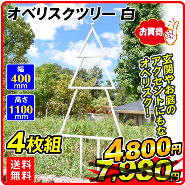 オベリスクツリー白