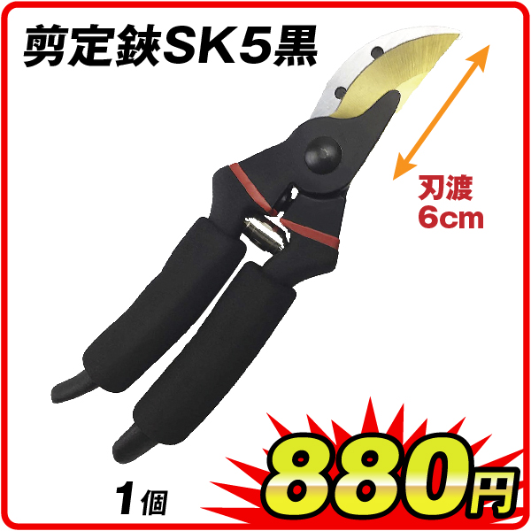 剪定鋏SK5黒　1個