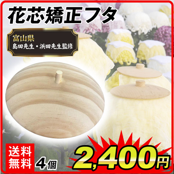 花芯矯正フタ
