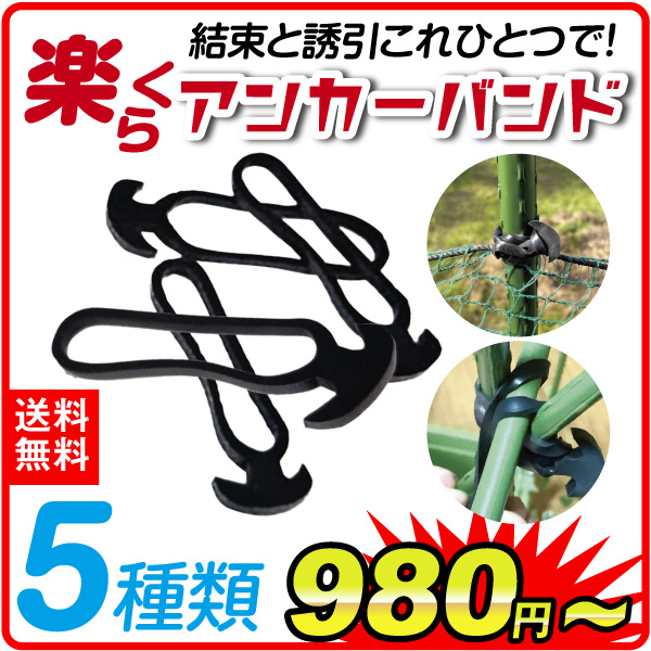楽らくアンカーバンド