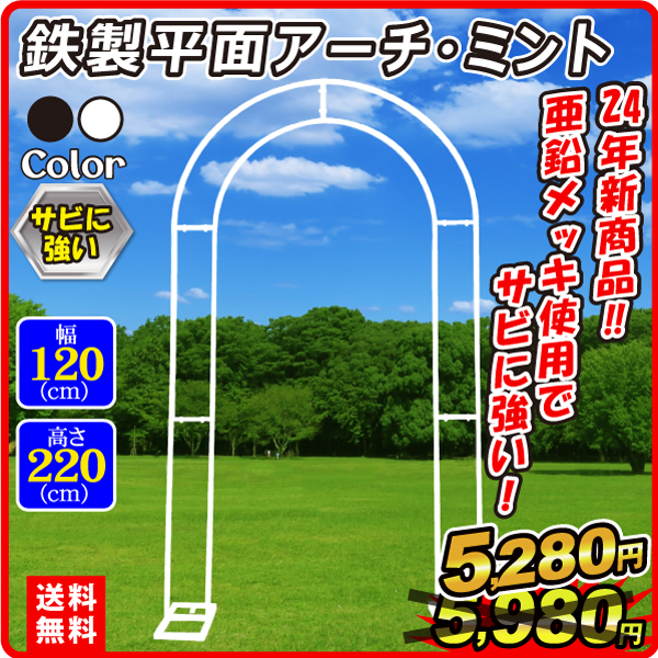 24年新商品 鉄製平面アーチ・ミント 白 幅120 高さ220 アーチ ガーデン ローズ バラアーチ アイアン ガーデニング 庭 玄関 門 フラワー つる バラ 薔薇