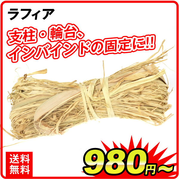 ラフィア