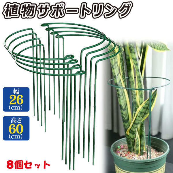 植物サポートリング