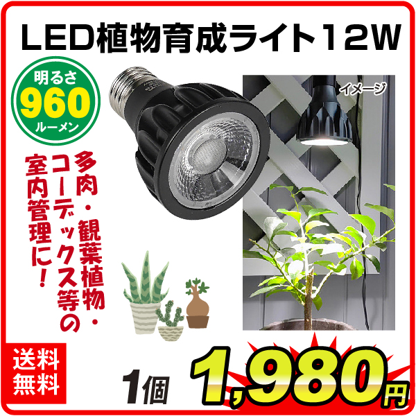 植物育成ライト12W