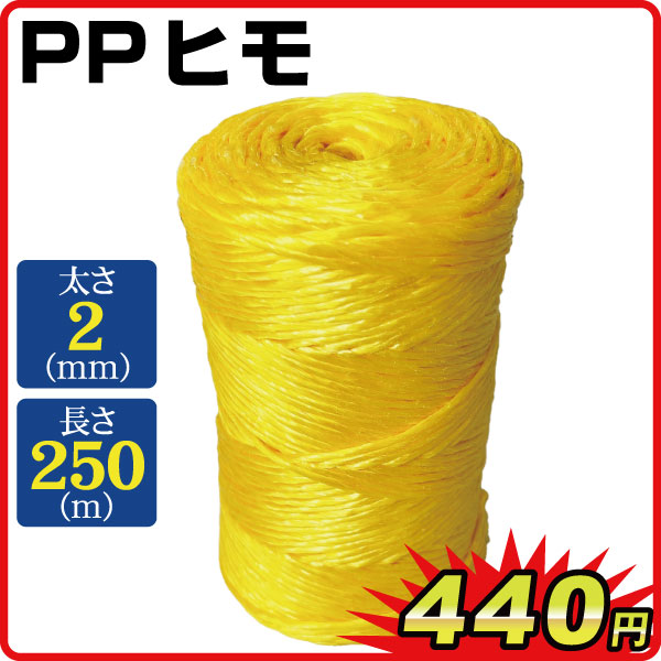 ひも テープ PPヒモ 2ｍｍ×250ｍ 1個 国華園
