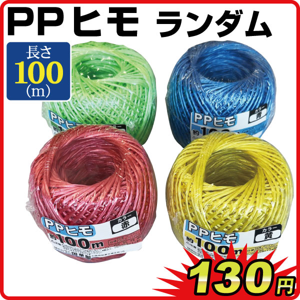 ひも テープ PPヒモ 100ｍ 1個 色ランダム 赤 青 緑 黄 国華園