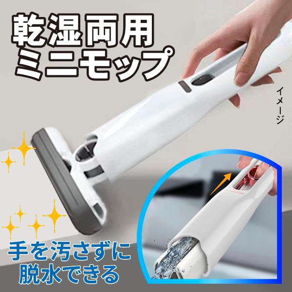乾湿両用ミニモップ　１個