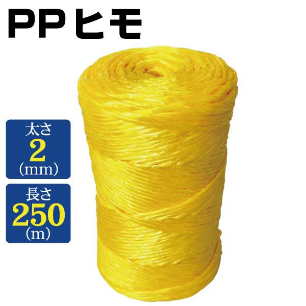 PPヒモ2ｍｍ*250ｍ　１個