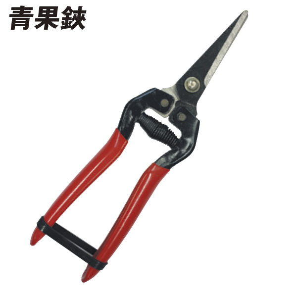 青果鋏　１個