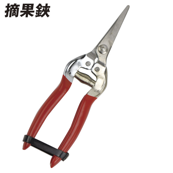 摘果鋏　１個