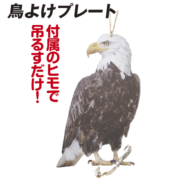 鳥よけプレート　１個