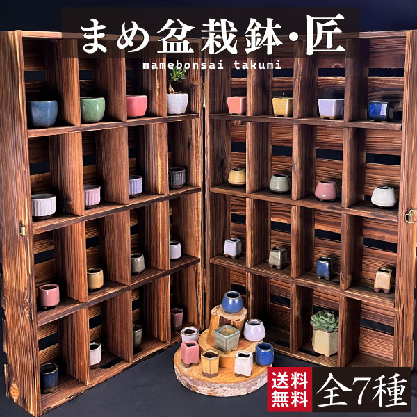 まめ盆栽鉢 匠 7種 （1箱4～6個入り） ミニ鉢 豆鉢 おしゃれ 陶器 鉢 ミニ盆栽 小鉢 花 多肉 観葉 盆栽 国華園