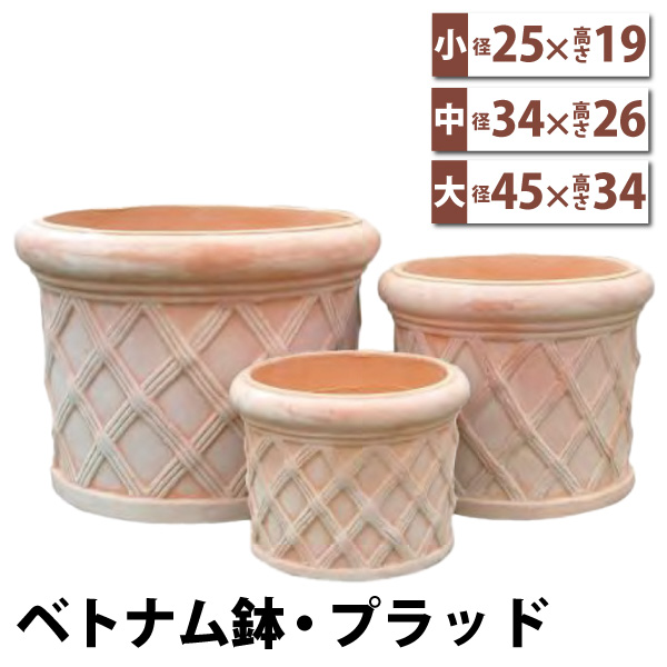 ベトナム鉢・プラッド