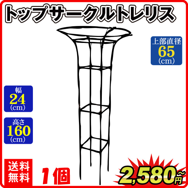 オベリスク トレリス 支柱 トップサークルトレリス 1個 2個 つる性 観葉植物 誘引 家庭菜園 ガーデニング 農業 園芸 国華園