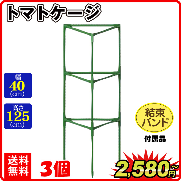 トマト 支柱 植物 トマトケージ 3個 6個セット 支柱 つる性 観葉植物 誘引 オベリスク 三角形 家庭菜園 ガーデニング 農業 園芸 国華園