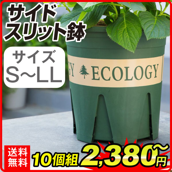 サイド スリット鉢