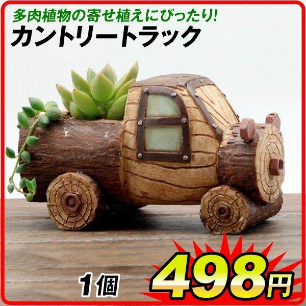 ポリ製鉢 プチオアシス・カントリートラック  1個