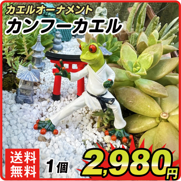 カエルオーナメント　カンフーカエル　１個　カエルの置物　玄関　風水　縁起物　置物　商売繁盛　開運  雑貨　ガーデニング　庭　オブジェ 卓上