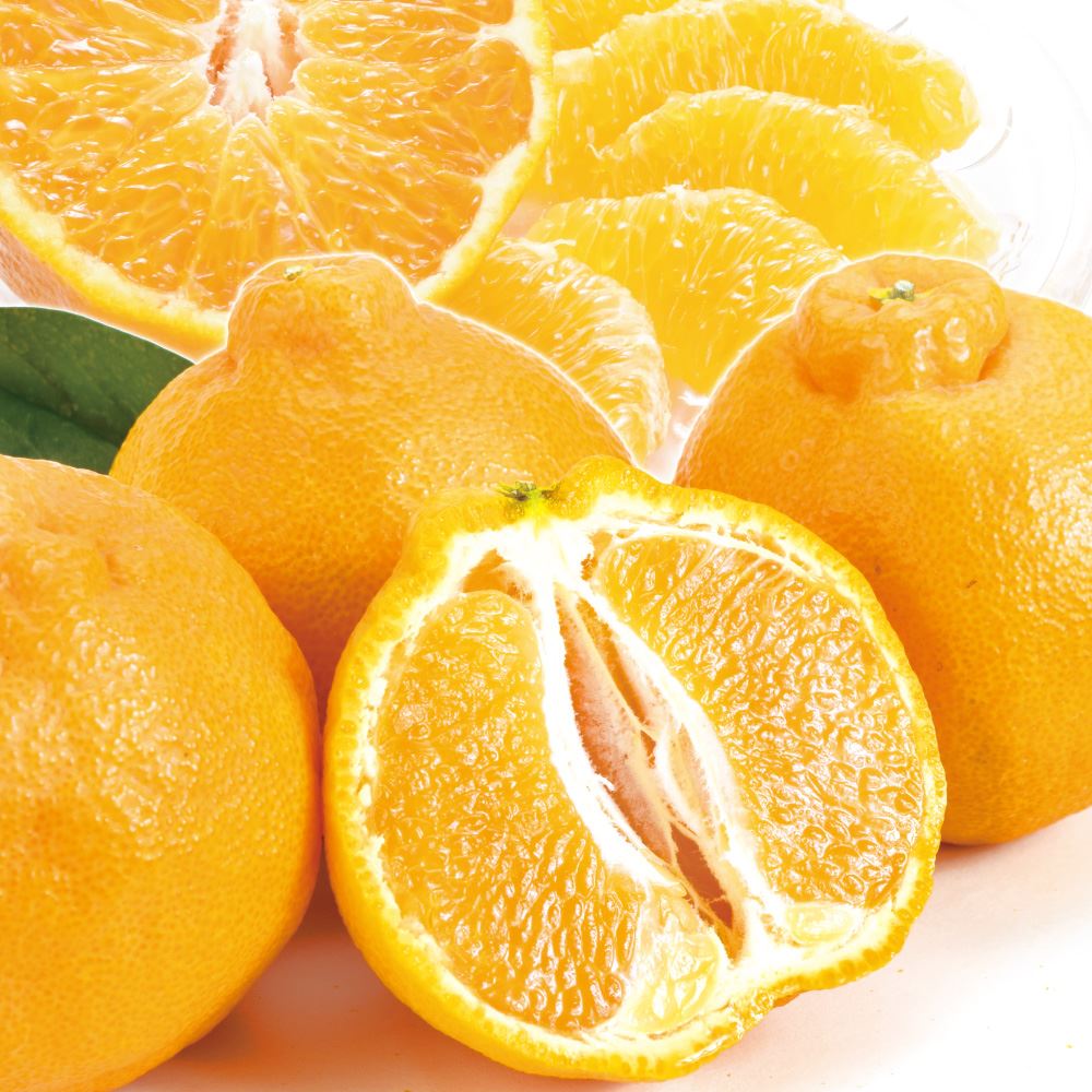 【期間限定】みかん 不知火オレンジ 5kg 九州産 超特価 ご家庭用 デコ 柑橘 送料無料 食品