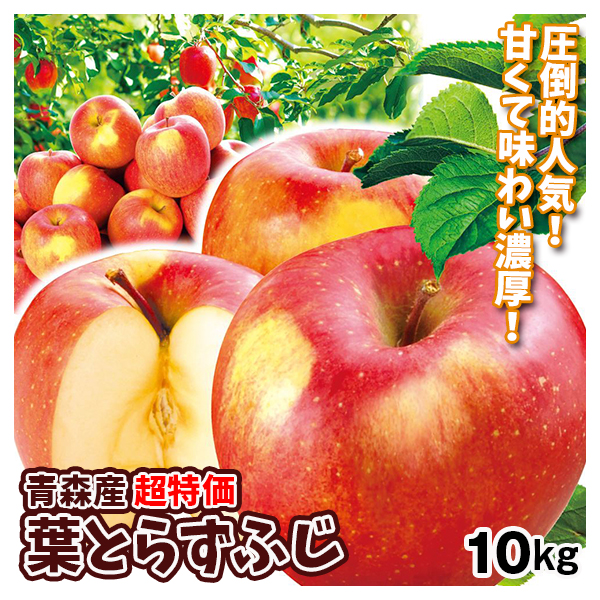 【期間限定】りんご 青森産 超特価 葉とらずふじ 10kg  ご家庭用 送料無料 食品