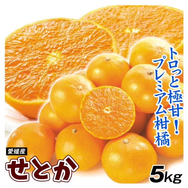 みかん 愛媛産 ご家庭用 せとか 5kg 送料無料 食品