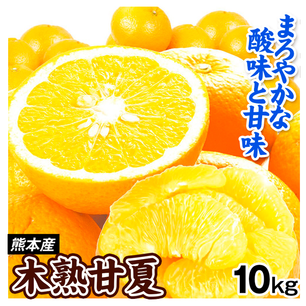 みかん 木熟甘夏 10kg 熊本産 ご家庭用 あまなつ 柑橘 送料無料 食品