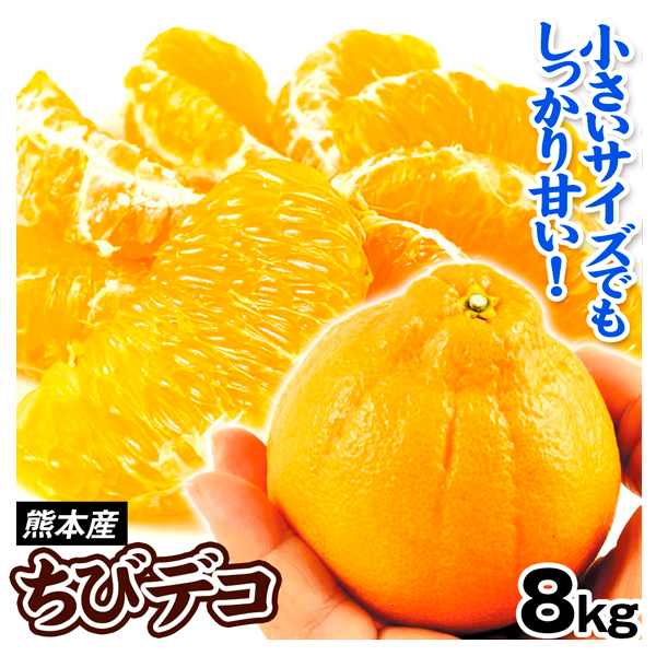 みかん ちびデコ 8kg 熊本産 不知火 デコ オレンジ 柑橘 送料無料 食品