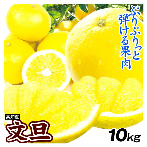 みかん 高知産 ご家庭用 文旦 10kg ぶんたん 送料無料 食品