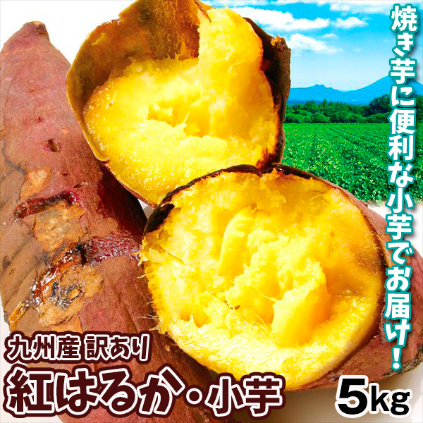 さつまいも 九州産 訳あり 紅はるか 小芋 5kg 送料無料 食品