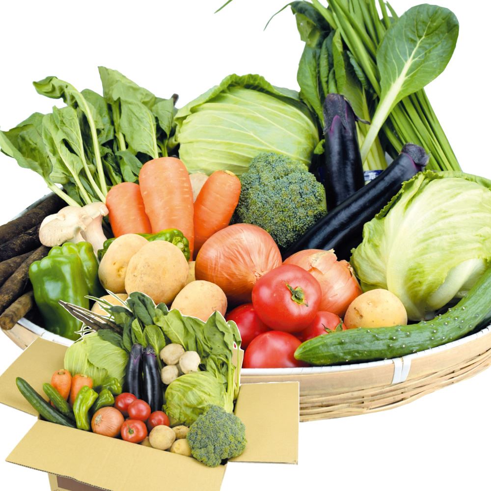 厳選！15品目の野菜セット 送料無料 食品