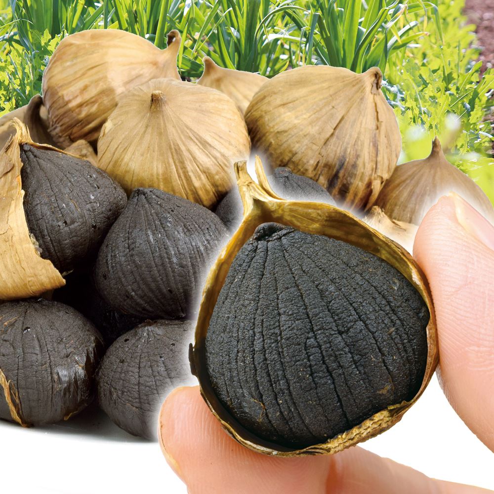 【期間限定】超特価 一片種 熟成黒にんにく600g 送料無料 食品