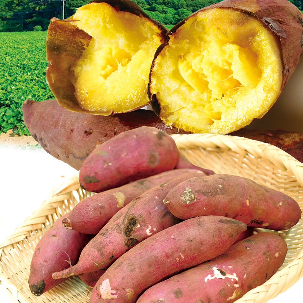 さつまいも 宮崎産 紅はるか 10kg ご家庭用 土付き 送料無料 食品※プラチナ会員様専用チラシ