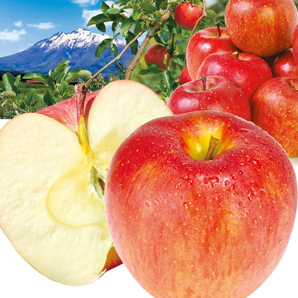 りんご 青森産 弘前のサンふじ 約20kg ご家庭用 木箱 送料無料 食品※プラチナ会員様専用チラシ