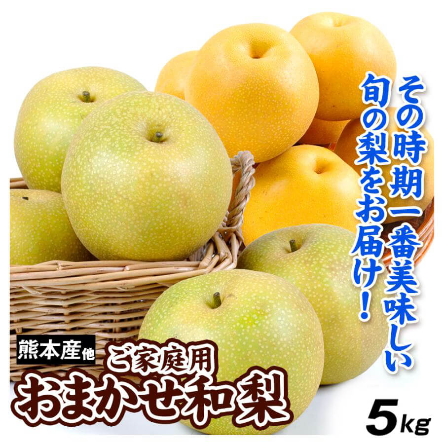 なし 熊本産ほか おまかせ梨 約5kg ご家庭用 品種見計らい 送料無料 食品 ※新聞広告掲載商品
