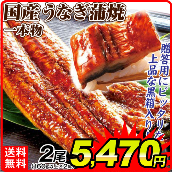 鰻 国産 うなぎ蒲焼 2尾 一本物 ウナギ 160ｇ以上×２ 化粧箱入り ギフト プレゼント 送料無料 食品 冷凍便