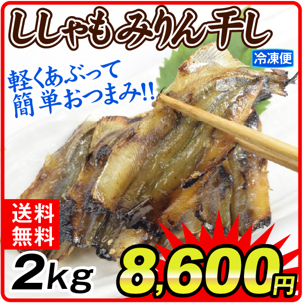 ししゃも みりん干し 2kg （500g×4箱） 焼きししゃも 味醂ししゃも 味醂干し おつまみ 珍味 送料無料 冷凍便