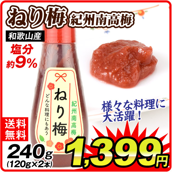 ねり梅 紀州南高梅 120g×2本 和歌山産 塩分約9％ 調味料 送料無料 ポスト投函 食品