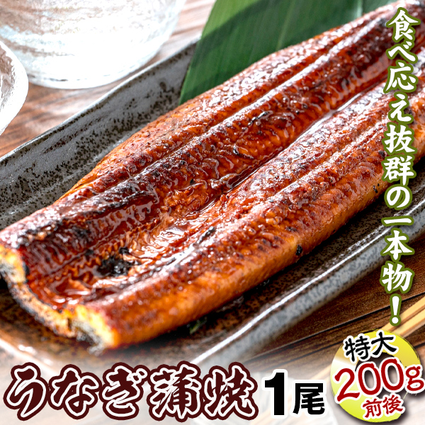 うなぎ 蒲焼 一本物 無頭 1尾 200～220g前後 中国産 冷凍 食品