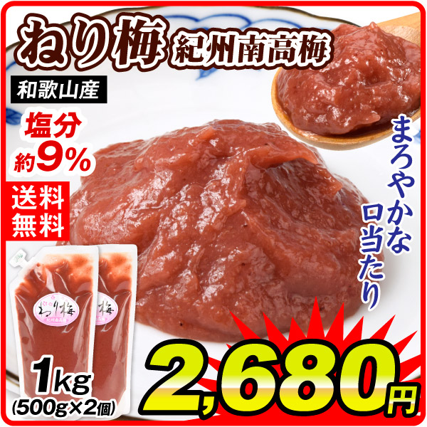 ねり梅 紀州南高梅 500g×2個 塩分約9% 和歌山産 チューブ 大容量 南高梅 調味料 送料無料 ポスト投函 食品