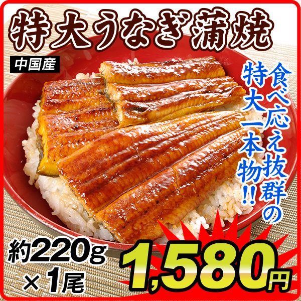 うなぎ 鰻 特大 うなぎ蒲焼 一本物 有頭 1尾  220g前後 中国産 冷凍 グルメ