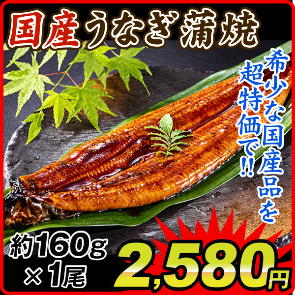 うなぎ 国産 うなぎ蒲焼き 1尾 160g前後 かば焼き 有頭 鰻 ウナギ 食品 冷凍便