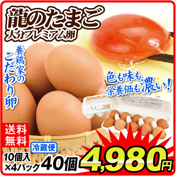 龍のたまご 4パック1組 40個 1パック10個入り 国産 ブランド たまご 卵 玉子 送料無料 冷蔵便 食品