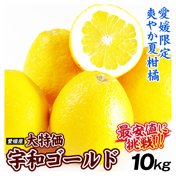 みかん 10kg 宇和ゴールド 愛媛産 大特価 ご家庭用 河内晩柑 柑橘 送料無料 食品