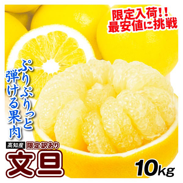 高知産 文旦 10kg 数量限定 訳あり ぶんたん ご家庭用 送料無料 食品