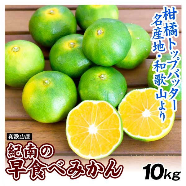 みかん 10kg 紀南の早食べみかん 和歌山産 送料無料 食品