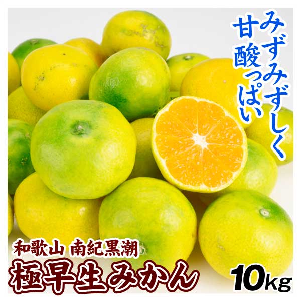 みかん 10kg 南紀黒潮極早生みかん 和歌山産 送料無料 食品