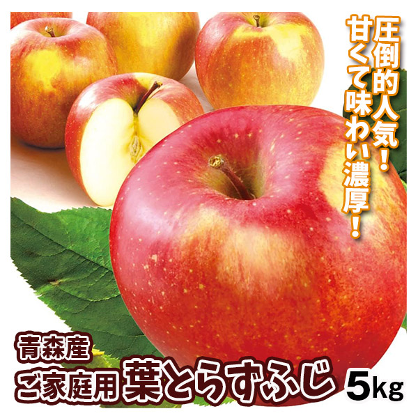 りんご 5kg 葉とらずふじ 青森産 ご家庭用 送料無料 食品