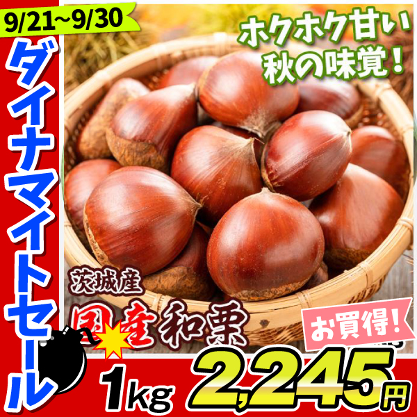 くり 国産和栗 茨城産 生栗 1kg 2Lサイズ 送料無料 食品