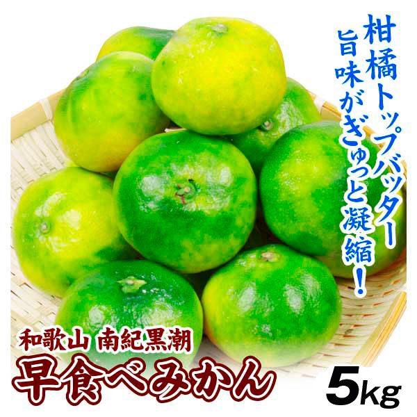 みかん 5kg 南紀黒潮早食べみかん 和歌山産 送料無料 食品