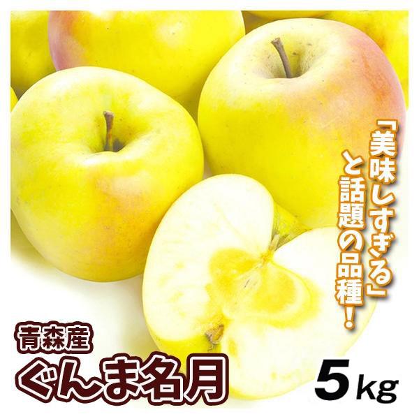 りんご 5kg 青森産 ぐんま名月 （12～28玉） ご家庭用 送料無料 希少品種 林檎 フルーツ 食品 国華園